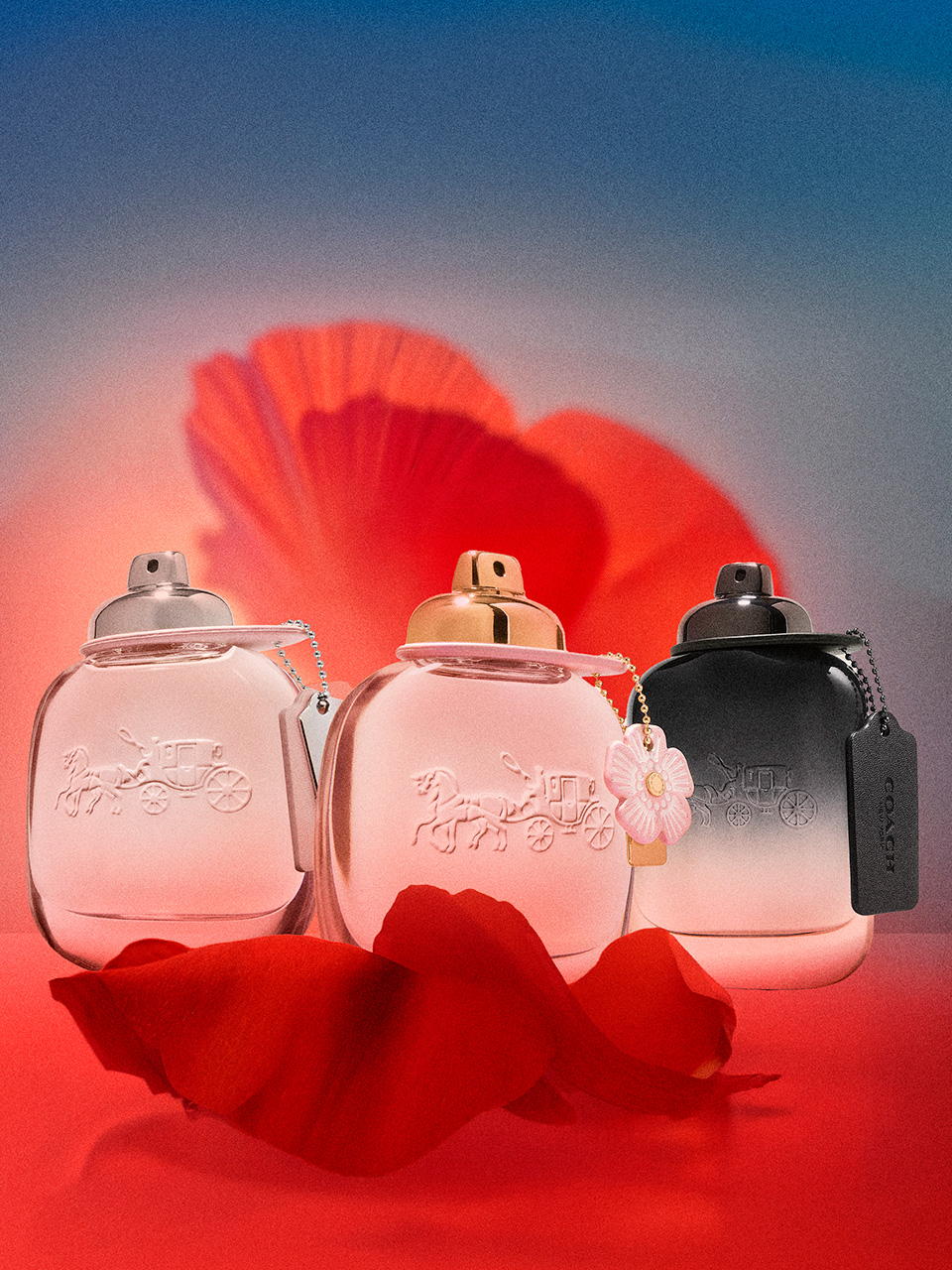 coach_lny Mock-up of Libre perfume from Yves Saint Laurent under a rain of ingredients, lavender, jasmin, orchid