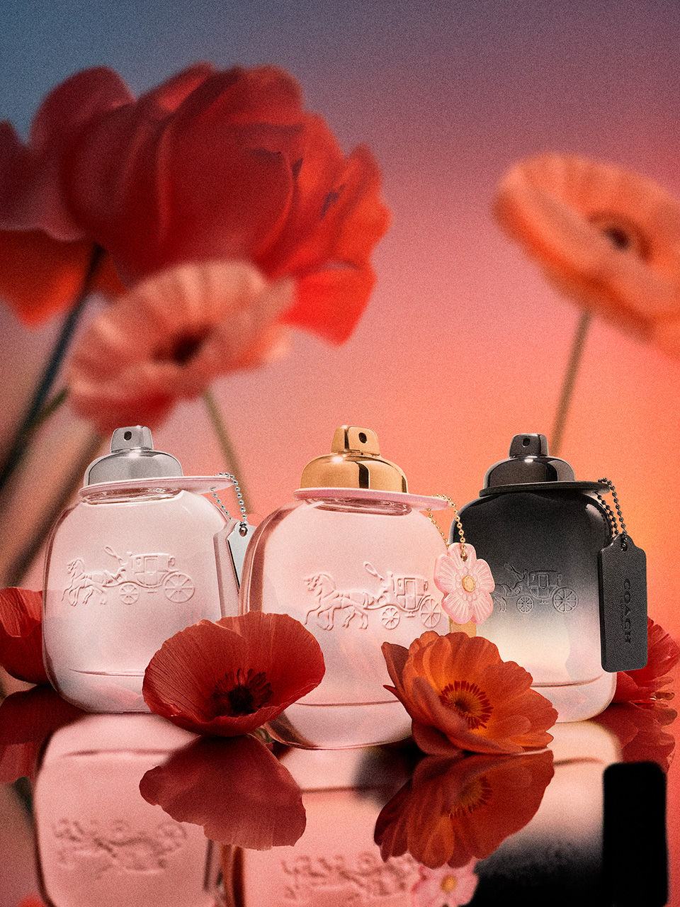 coach_lny_2 Mock-up of Libre perfume from Yves Saint Laurent under a rain of ingredients, lavender, jasmin, orchid